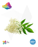 (CC) - Elderflower