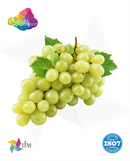 (CC) - Grape (Shine Muscat)