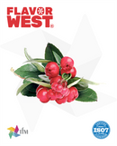 (FW) - Wintergreen - (Minty Flavour)