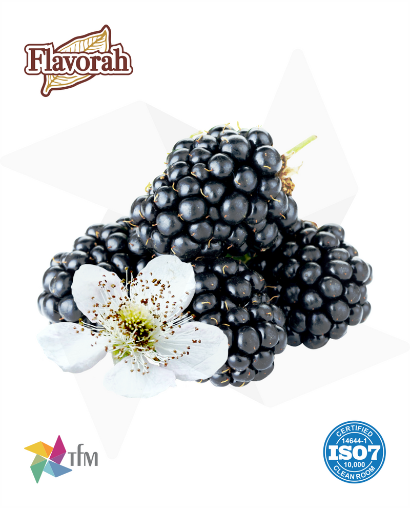 (FLV) - Blackberry Blossom