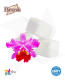 (FLV) - Sugar Orchid