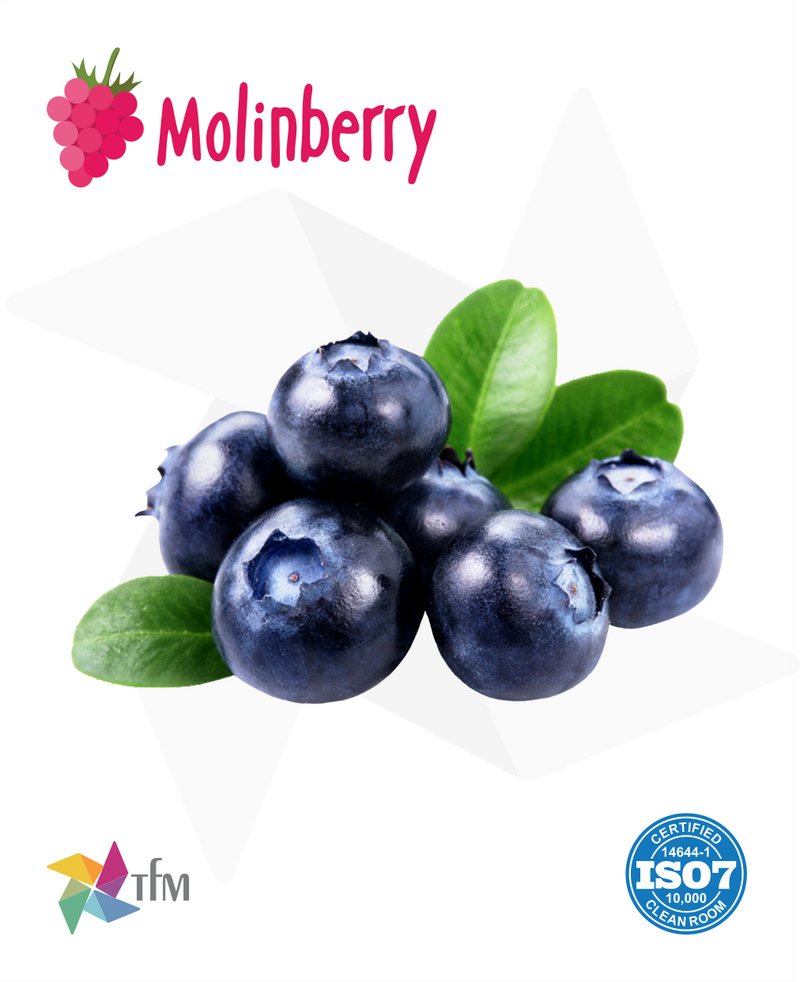 (MB) - Blueberry
