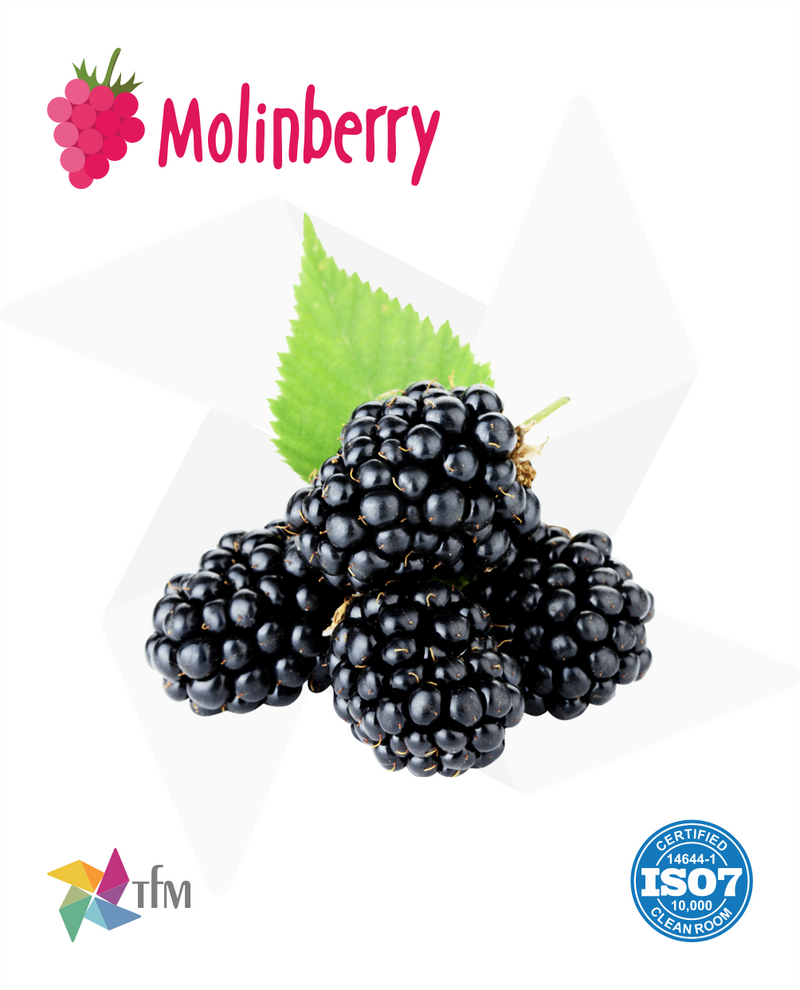 (MB) - Dark Blackberry