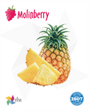 (MB) - Funky Pineapple