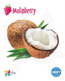 (MB) - Palm Coconut