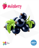 (MB) - Sharp Blackcurrant